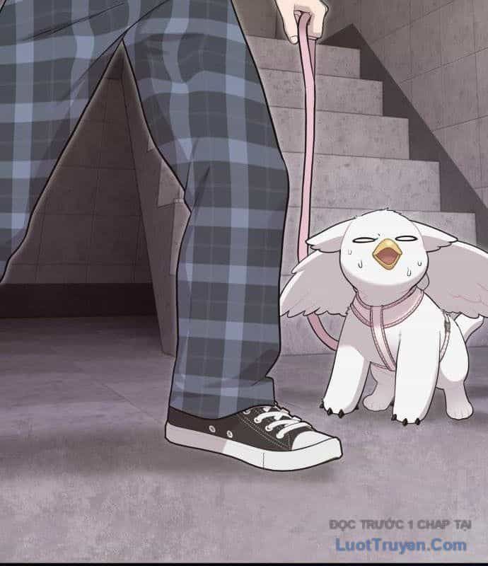 Chào Nhé, Chú Vẹt Mắt Tròn Griffin! - Chương 12 - ảnh 18