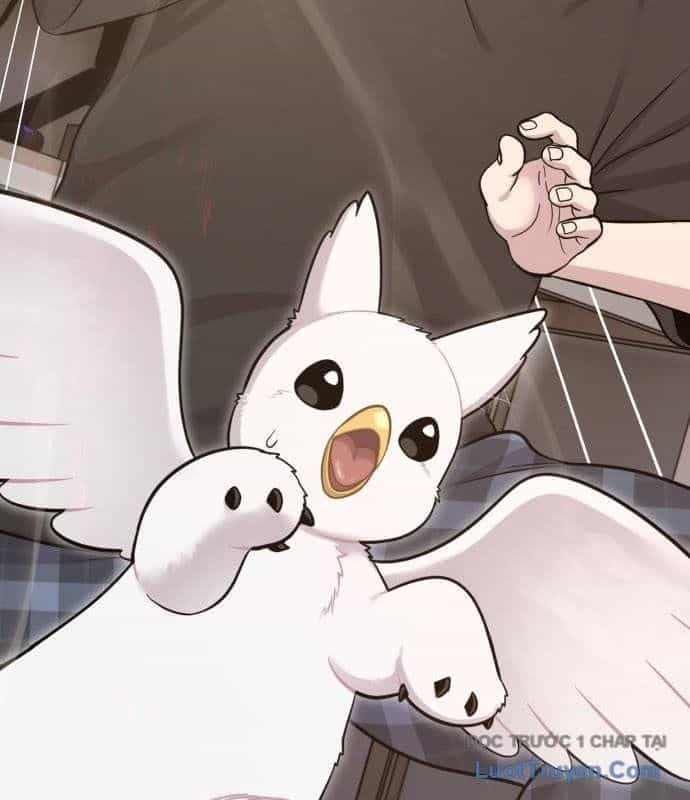Chào Nhé, Chú Vẹt Mắt Tròn Griffin! - Chương 12 - ảnh 45