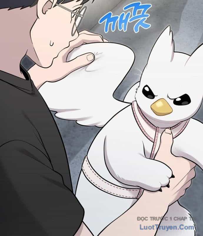 Chào Nhé, Chú Vẹt Mắt Tròn Griffin! - Chương 13 - ảnh 51
