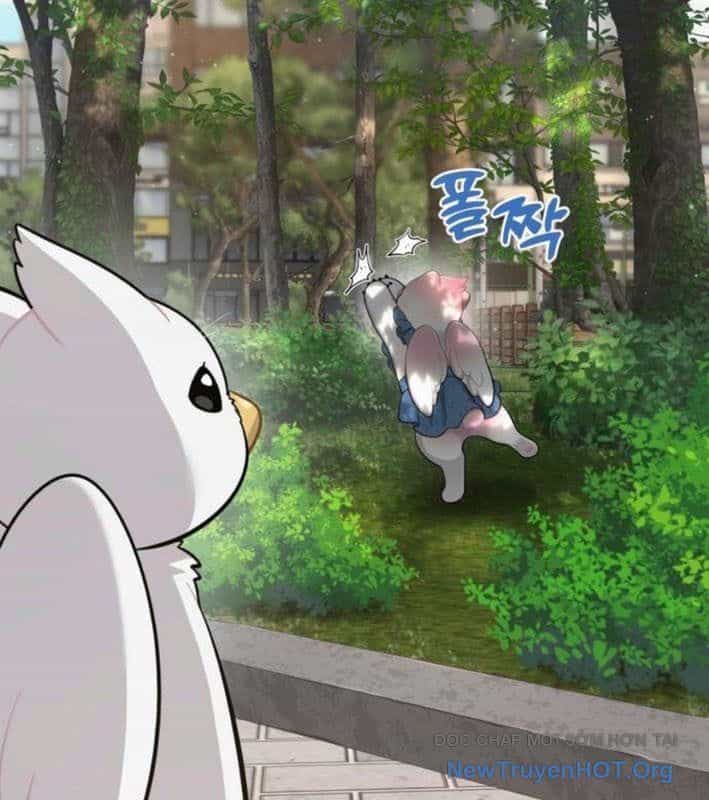 Chào Nhé, Chú Vẹt Mắt Tròn Griffin! - Chương 9 - ảnh 113