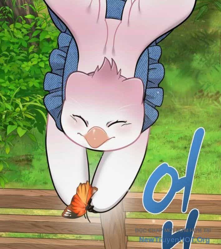Chào Nhé, Chú Vẹt Mắt Tròn Griffin! - Chương 9 - ảnh 123
