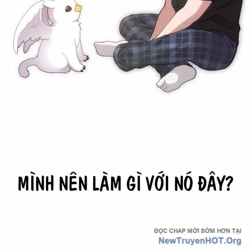 Chào Nhé, Griffin Mắt Tròn! - Chương 1 - ảnh 184