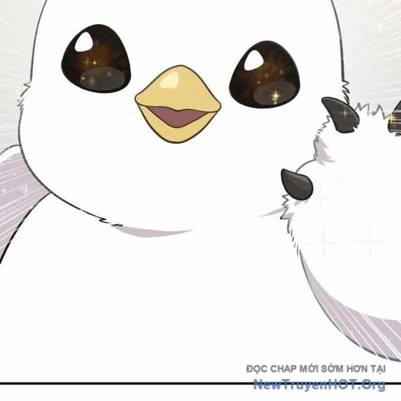 Chào Nhé, Griffin Mắt Tròn! - Chương 1 - ảnh 30