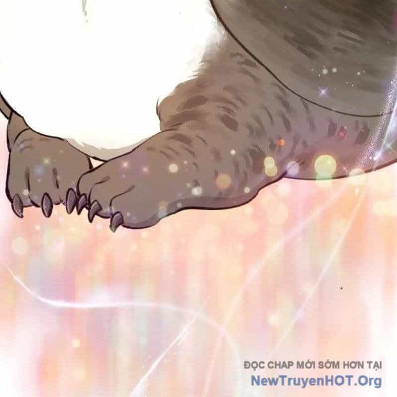 Chào Nhé, Griffin Mắt Tròn! - Chương 1 - ảnh 48