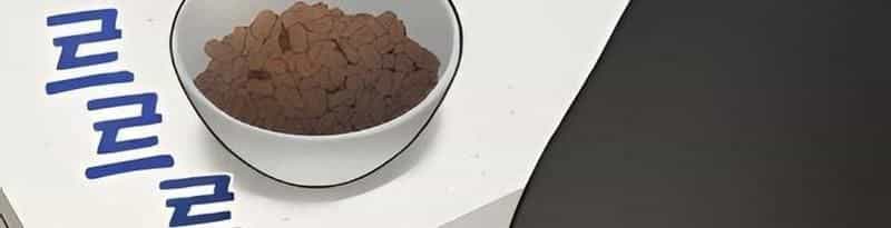 Chào Nhé, Griffin Mắt Tròn! - Chương 2 - ảnh 107