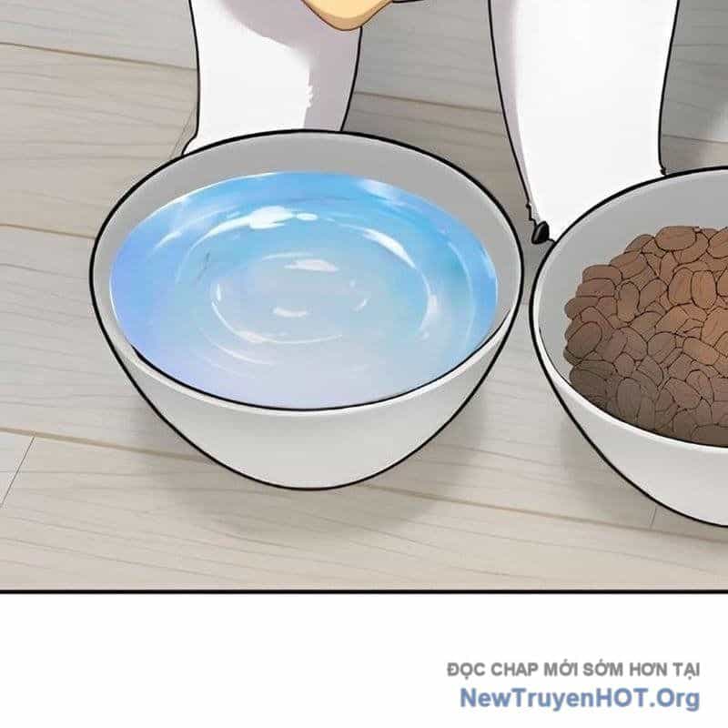 Chào Nhé, Griffin Mắt Tròn! - Chương 2 - ảnh 115