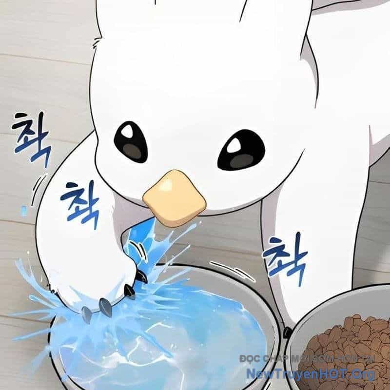 Chào Nhé, Griffin Mắt Tròn! - Chương 2 - ảnh 117