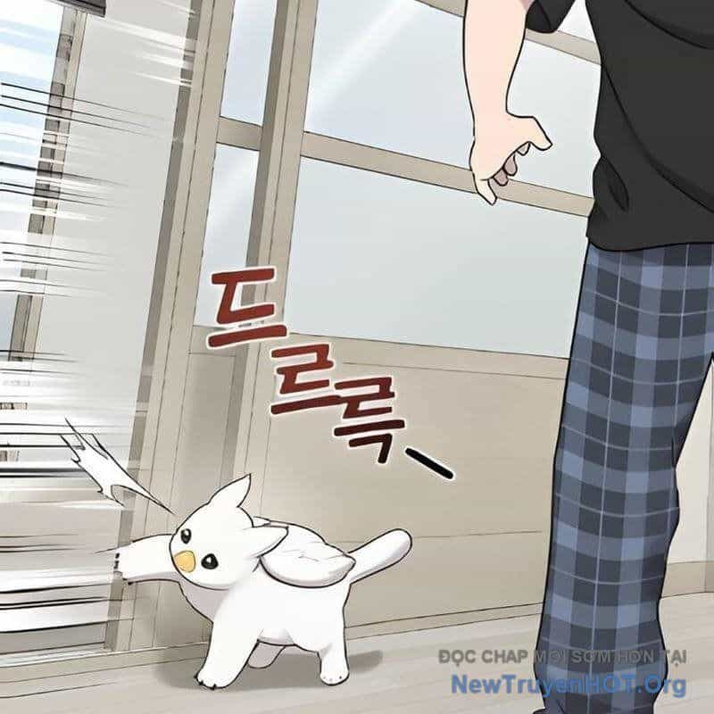 Chào Nhé, Griffin Mắt Tròn! - Chương 2 - ảnh 147