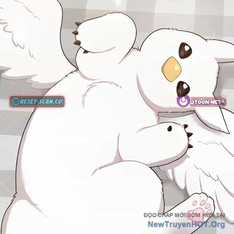 Chào Nhé, Griffin Mắt Tròn! - Chương 2 - ảnh 158