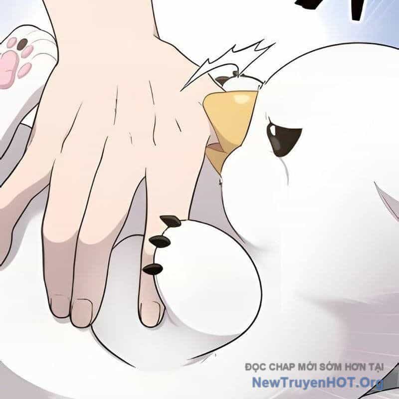 Chào Nhé, Griffin Mắt Tròn! - Chương 2 - ảnh 166