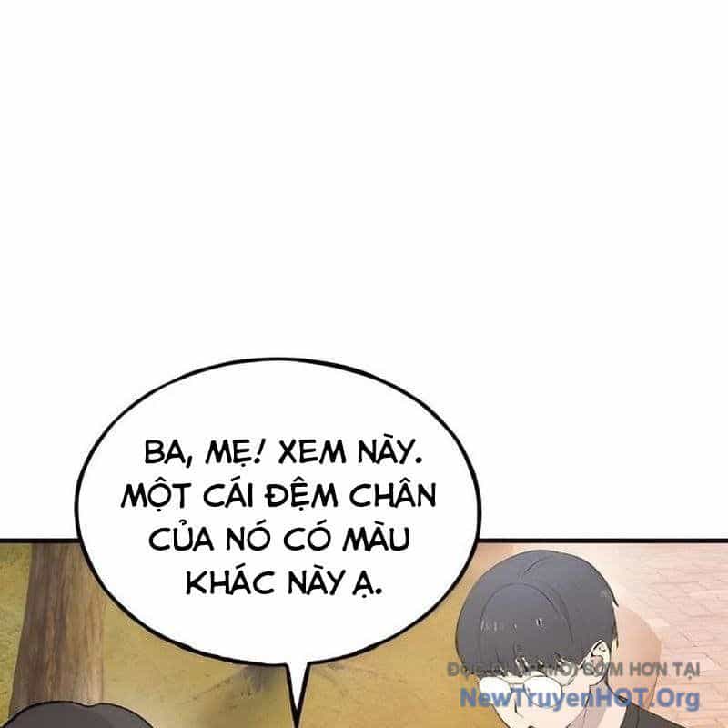 Chào Nhé, Griffin Mắt Tròn! - Chương 2 - ảnh 44