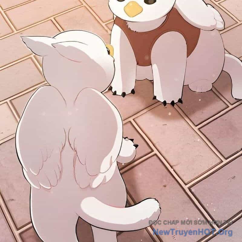 Chào Nhé, Griffin Mắt Tròn! - Chương 2 - ảnh 5