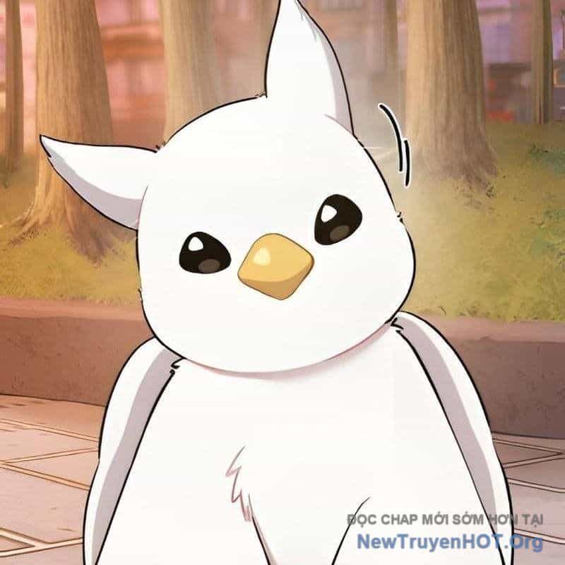 Chào Nhé, Griffin Mắt Tròn! - Chương 2 - ảnh 64