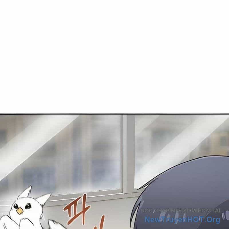 Chào Nhé, Griffin Mắt Tròn! - Chương 3 - ảnh 23