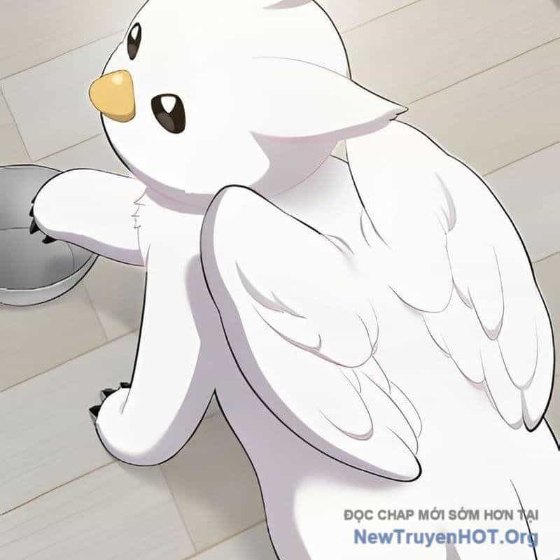 Chào Nhé, Griffin Mắt Tròn! - Chương 3 - ảnh 3