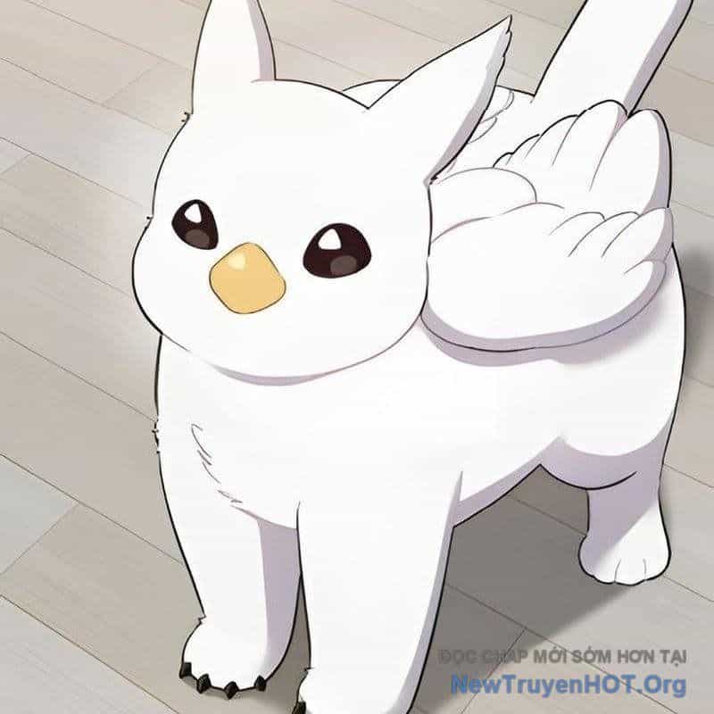 Chào Nhé, Griffin Mắt Tròn! - Chương 3 - ảnh 57
