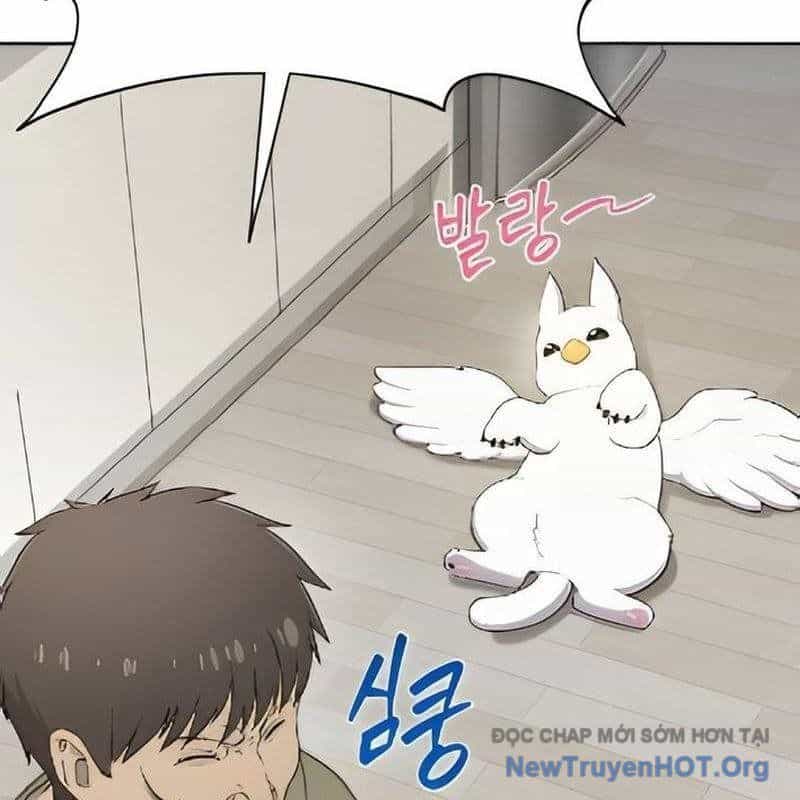 Chào Nhé, Griffin Mắt Tròn! - Chương 3 - ảnh 59