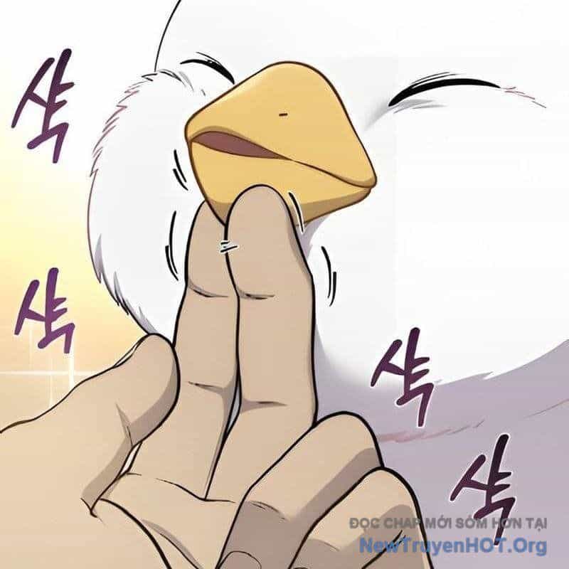 Chào Nhé, Griffin Mắt Tròn! - Chương 3 - ảnh 74
