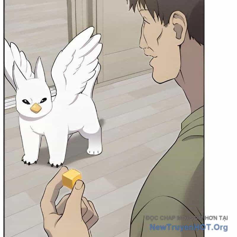 Chào Nhé, Griffin Mắt Tròn! - Chương 3 - ảnh 86