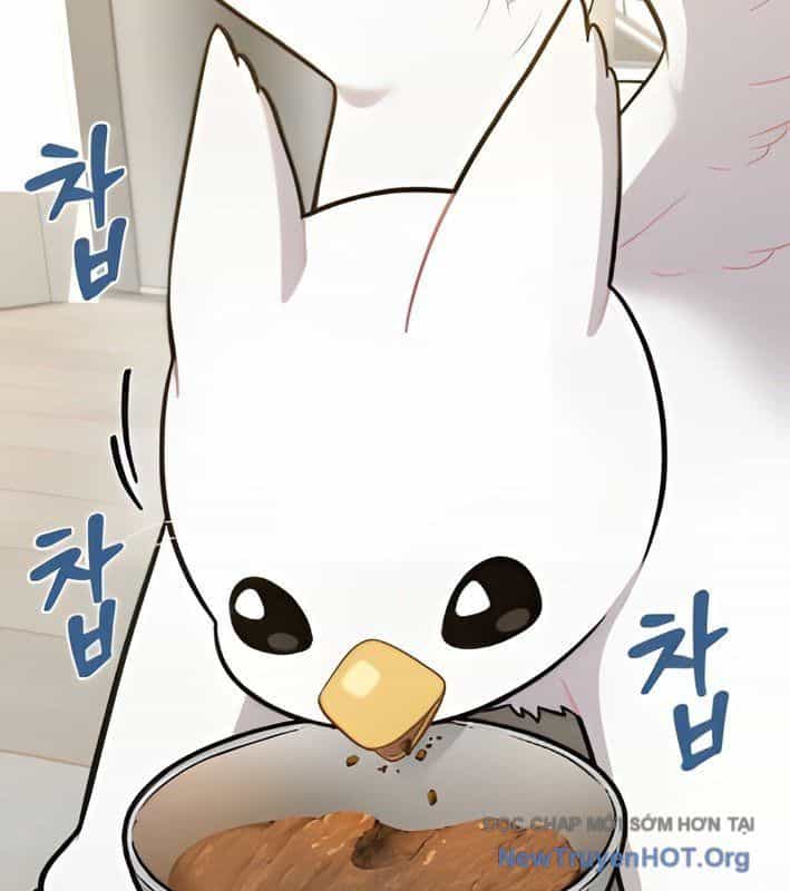 Chào Nhé, Griffin Mắt Tròn! - Chương 4 - ảnh 128
