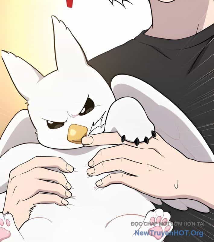 Chào Nhé, Griffin Mắt Tròn! - Chương 4 - ảnh 32