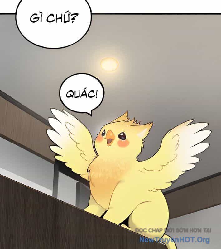 Chào Nhé, Griffin Mắt Tròn! - Chương 4 - ảnh 36