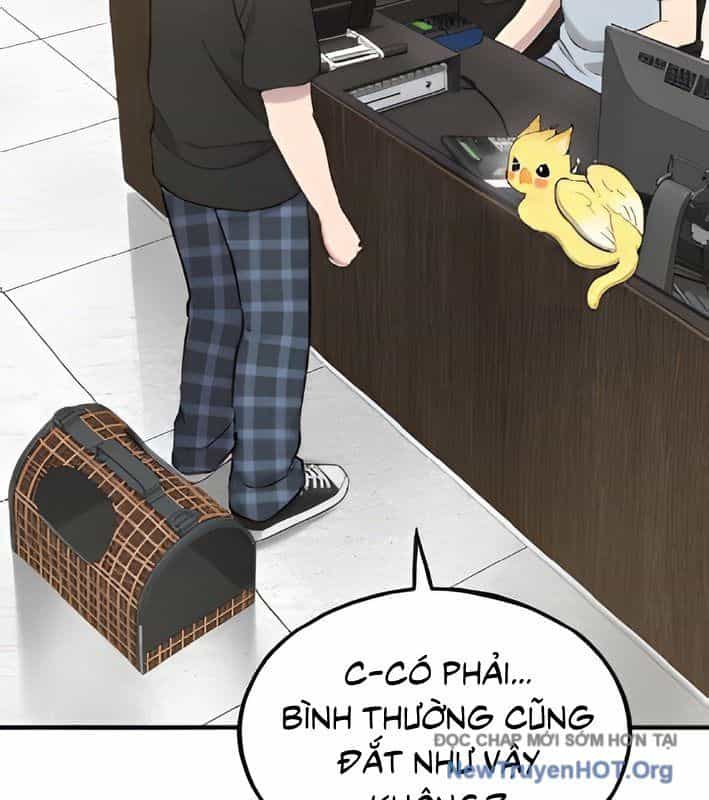 Chào Nhé, Griffin Mắt Tròn! - Chương 4 - ảnh 42