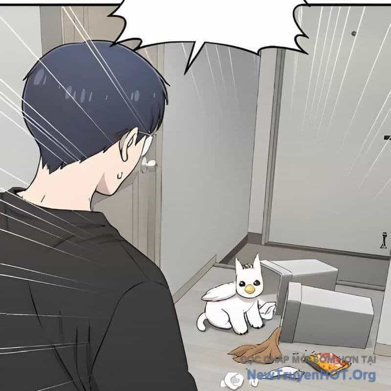 Chào Nhé, Griffin Mắt Tròn! - Chương 5 - ảnh 140