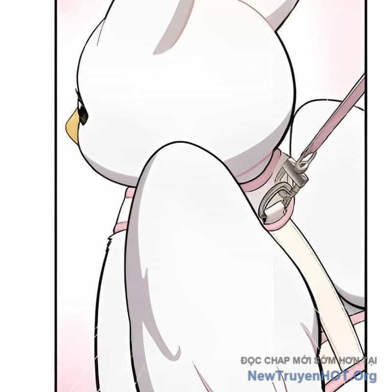Chào Nhé, Griffin Mắt Tròn! - Chương 5 - ảnh 165