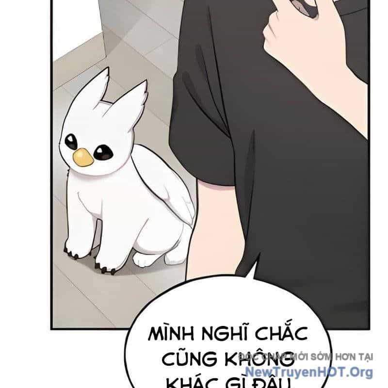 Chào Nhé, Griffin Mắt Tròn! - Chương 5 - ảnh 52