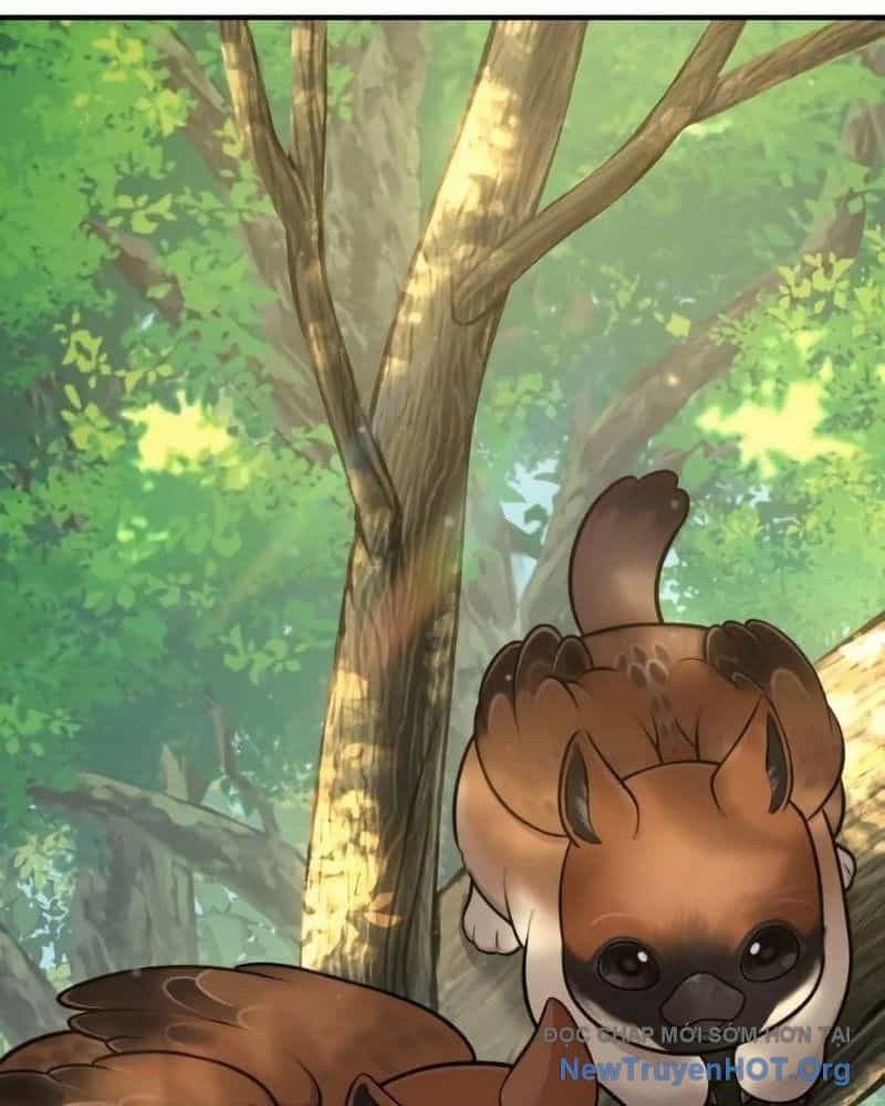 Chào Nhé, Griffin Mắt Tròn! - Chương 6 - ảnh 127