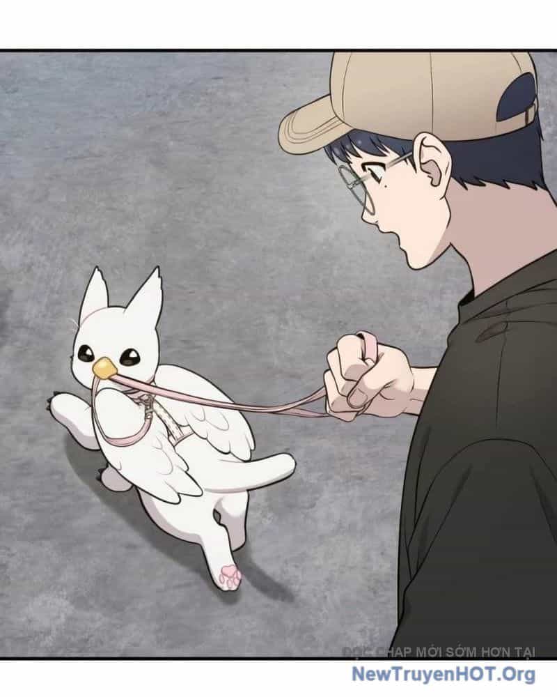 Chào Nhé, Griffin Mắt Tròn! - Chương 6 - ảnh 27