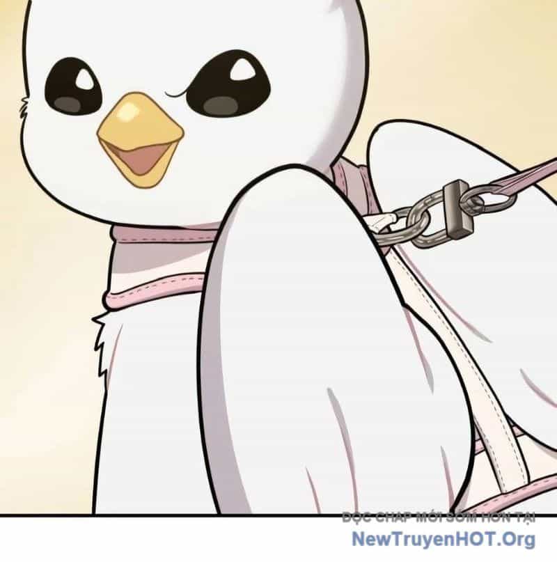 Chào Nhé, Griffin Mắt Tròn! - Chương 6 - ảnh 29
