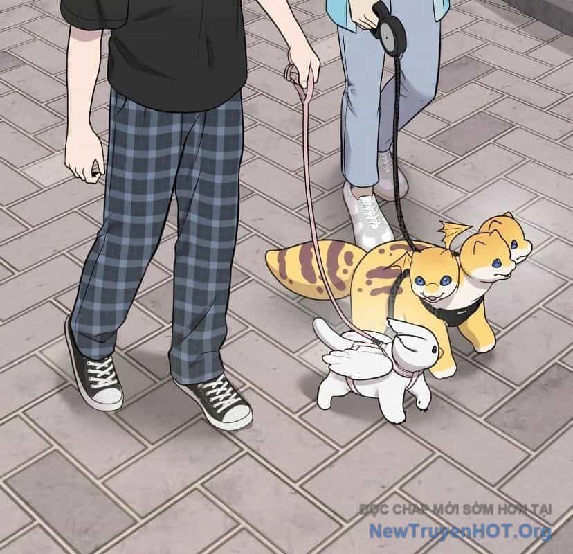 Chào Nhé, Griffin Mắt Tròn! - Chương 7 - ảnh 18