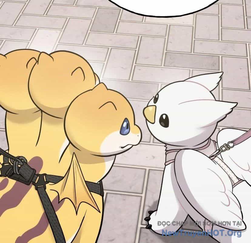 Chào Nhé, Griffin Mắt Tròn! - Chương 7 - ảnh 33