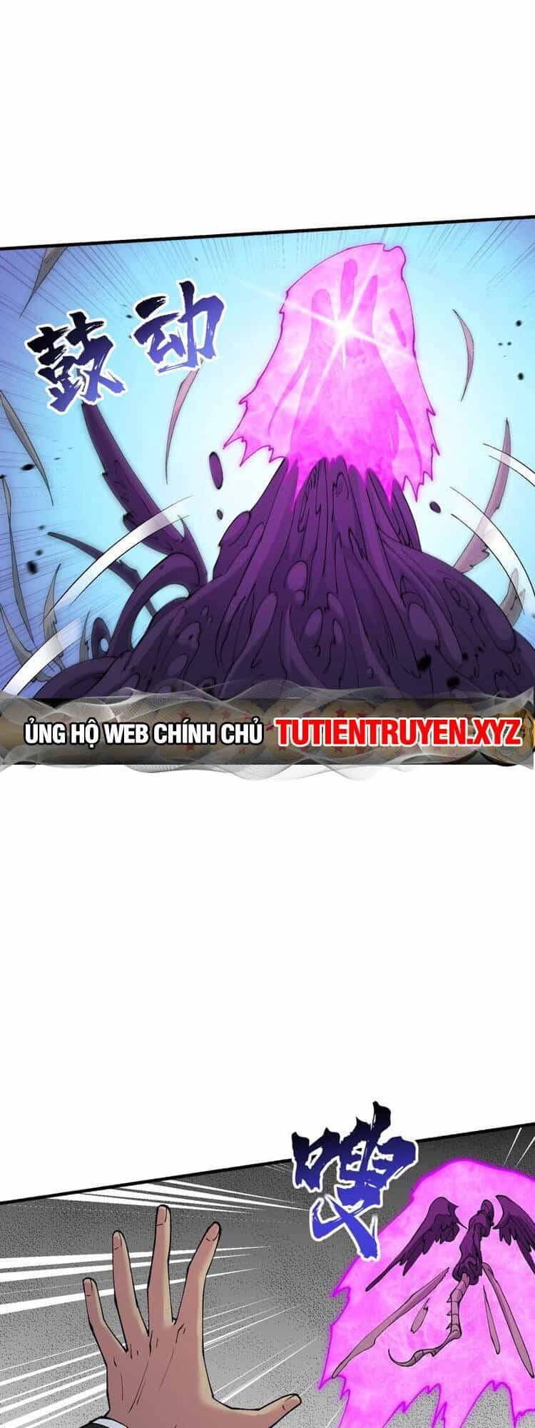Chặt Củi 10 Năm, Tiên Tử Cầu Xin Ta Thu Nàng Làm Đồ Đệ - Chương 48 - ảnh 11