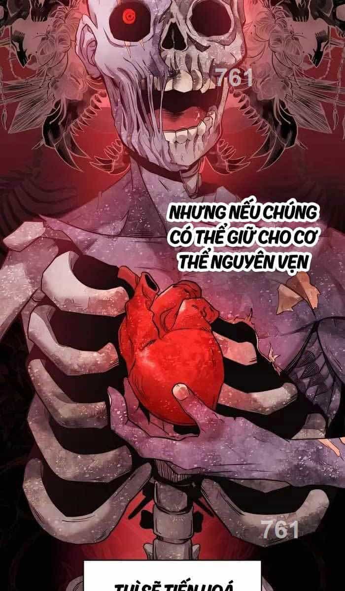 Cháu Trai Thánh Đế Là Tử Linh Sư - Chương 8 - ảnh 3