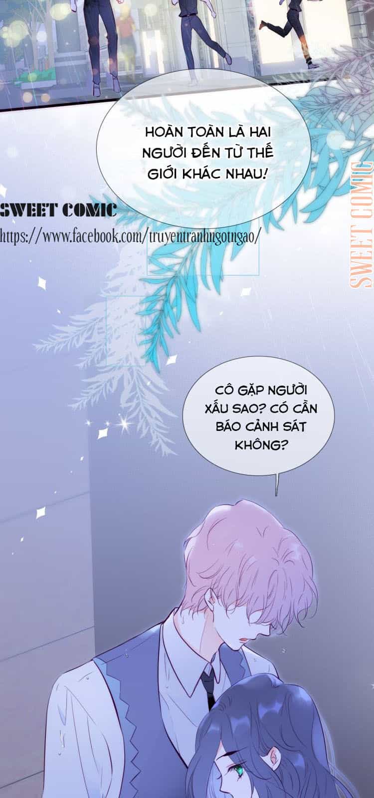 Chạy Trốn Cùng Con Nhím - Chương 1 - ảnh 15