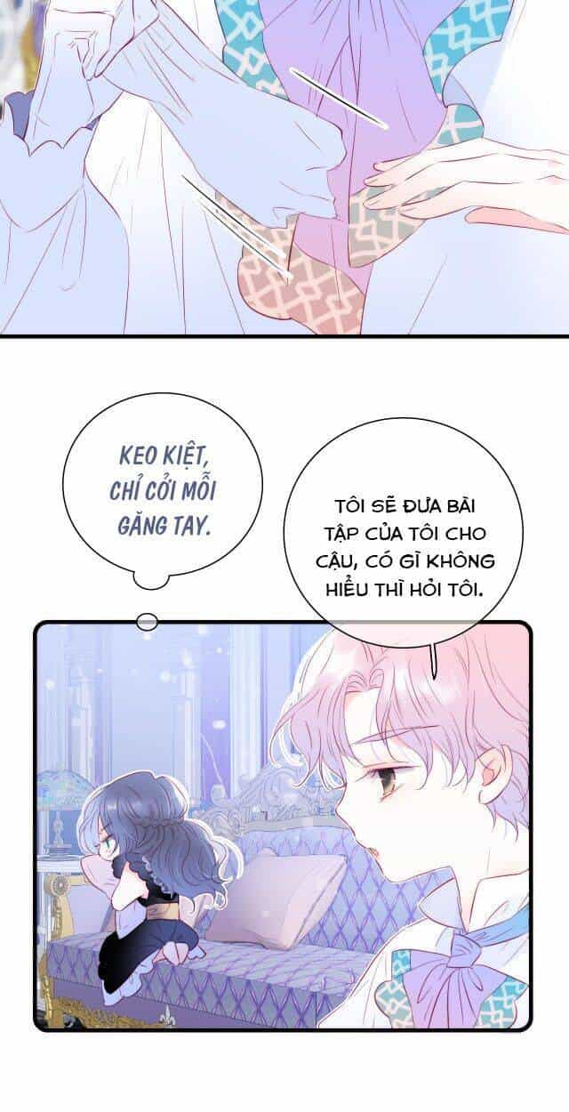 Chạy Trốn Cùng Con Nhím - Chương 10 - ảnh 23