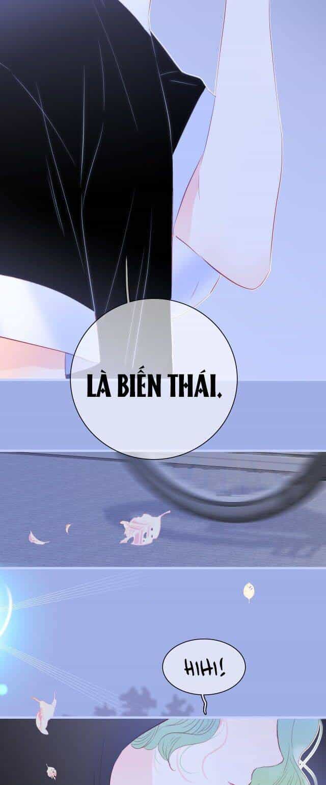 Chạy Trốn Cùng Con Nhím - Chương 19 - ảnh 27