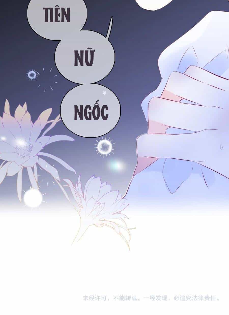 Chạy Trốn Cùng Con Nhím - Chương 27 - ảnh 46
