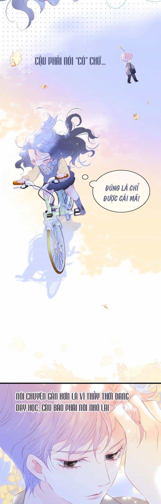 Chạy Trốn Cùng Con Nhím - Chương 31 - ảnh 17