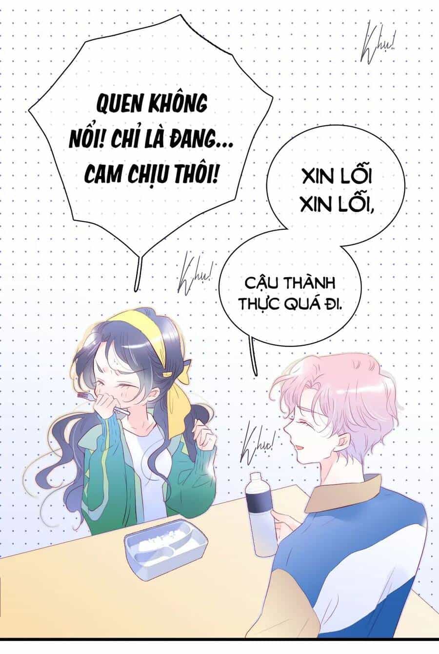 Chạy Trốn Cùng Con Nhím - Chương 35 - ảnh 22