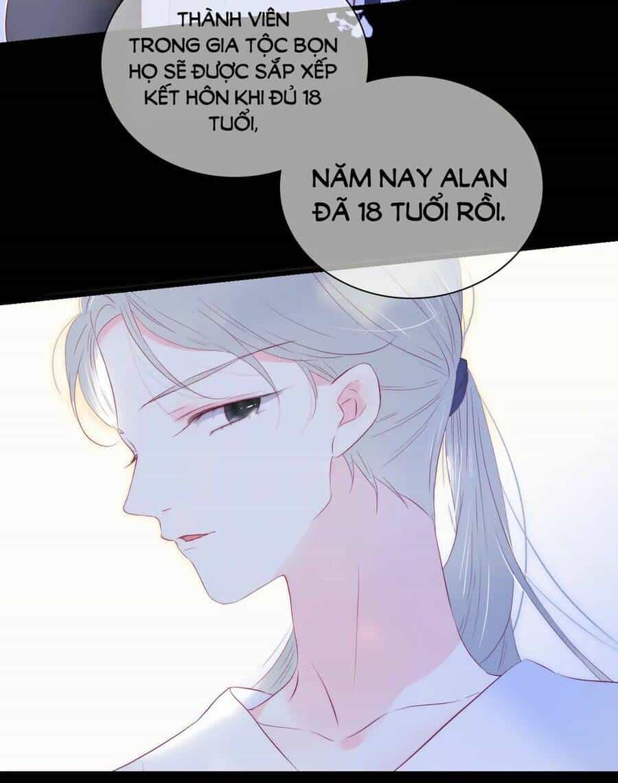 Chạy Trốn Cùng Con Nhím - Chương 43 - ảnh 15