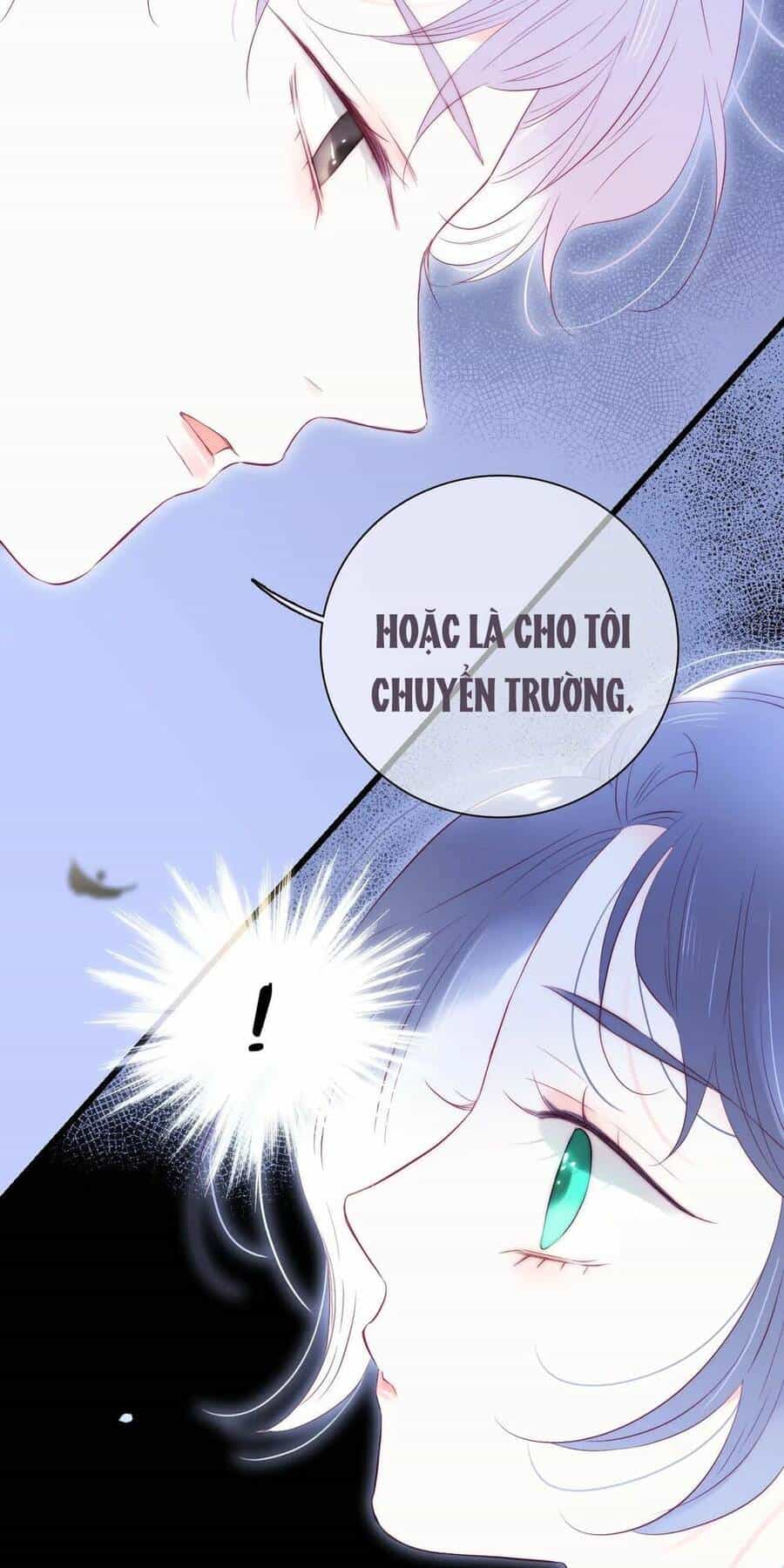 Chạy Trốn Cùng Con Nhím - Chương 46 - ảnh 17