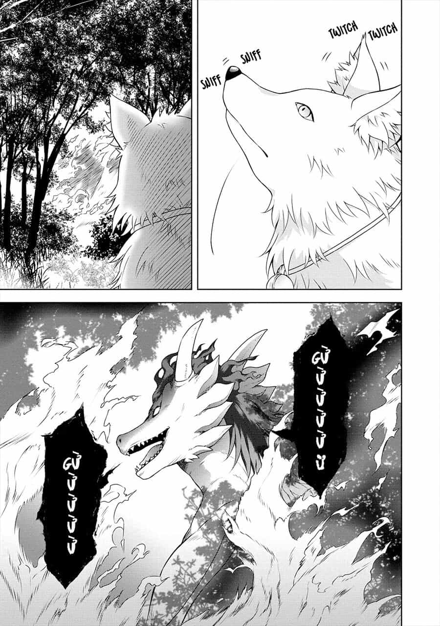 Cheat Kusushi No Slow Life: Isekai Ni Tsukurou Drugstore - Chương 16 - ảnh 17