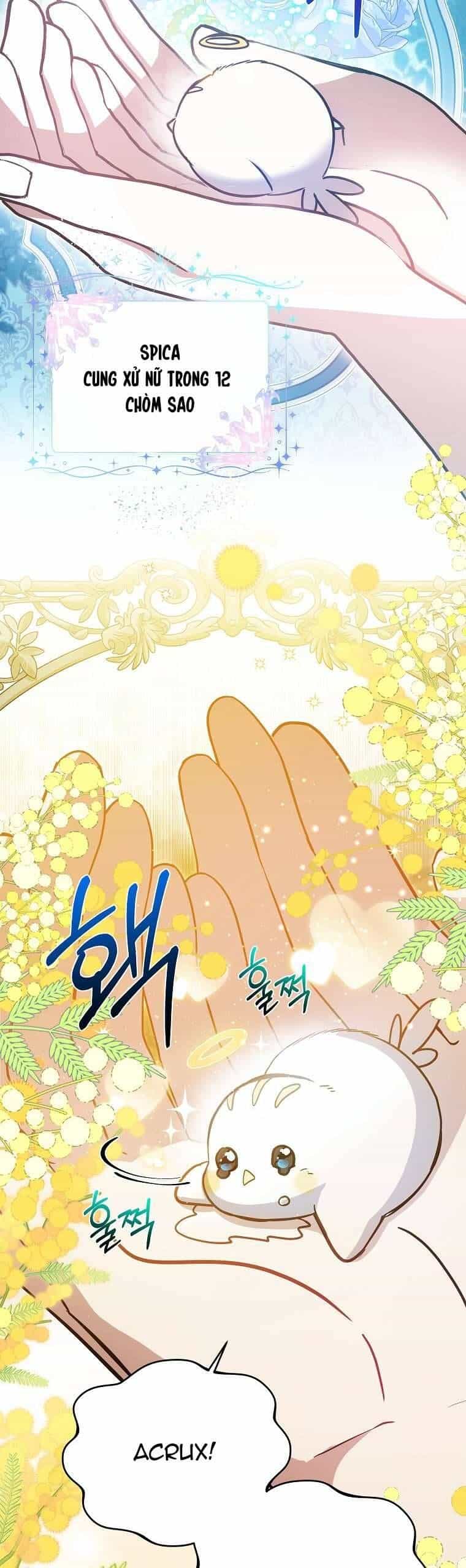 Chị Gái Tôi Là Nhân Vật Chính - Chương 13 - ảnh 5