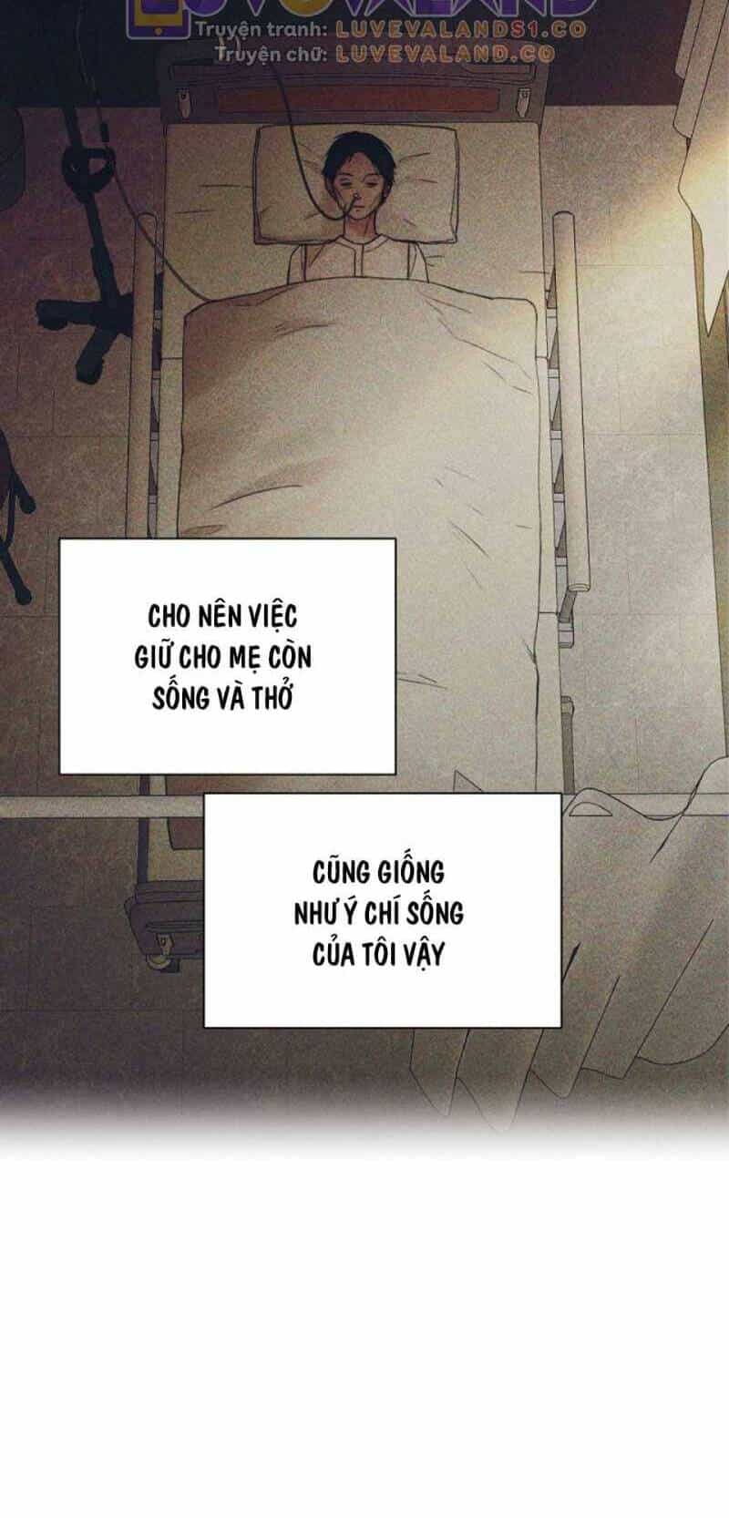 Chỉ Là Ánh Bình Minh - Chương 40 - ảnh 35