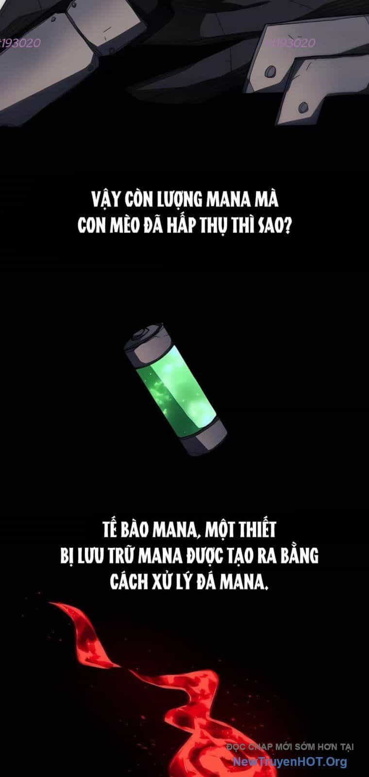 Chỉ Là Một Con Mèo - Chương 8 - ảnh 25
