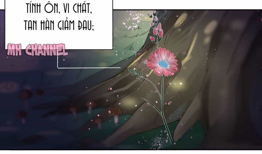 Chi Tôn Đồng Thuật Sư: Tuyệt Thế Đại Tiểu Thư - Chương 16 - ảnh 6